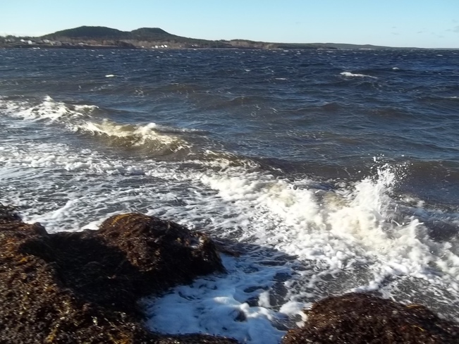 Waves Birchy Bay, Newfoundland and Labrador Canada