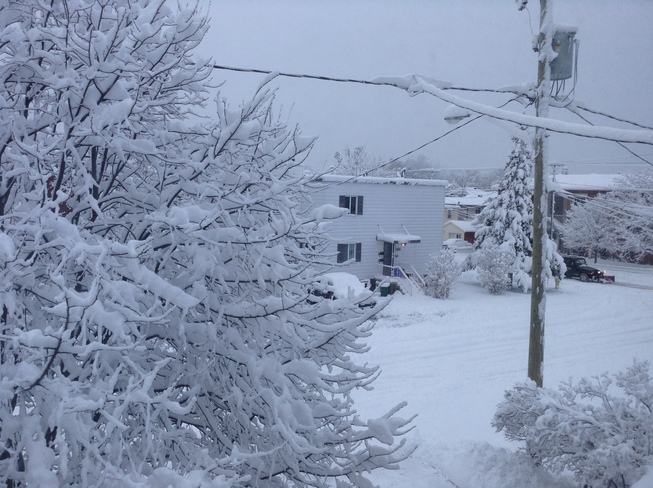 our first big snow fall Ottawa, Ontario Canada