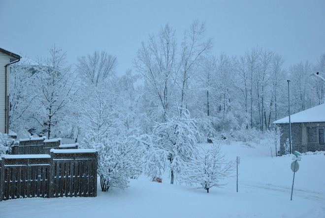First Snow Kingston, Ontario Canada