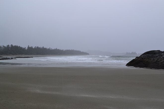 Misty Beachside Tofino, British Columbia Canada