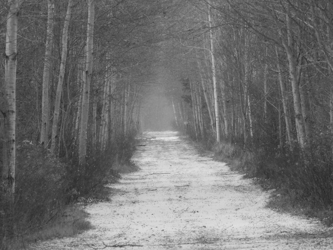 The long, lonely trail Kingston, Nova Scotia Canada
