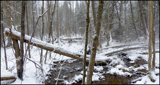 Sheriff Creek, snowy day along the red trail. Elliot Lake, Ontario Canada
