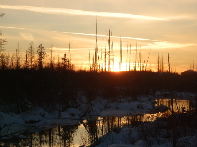Swamp sunset Meaford, Ontario Canada