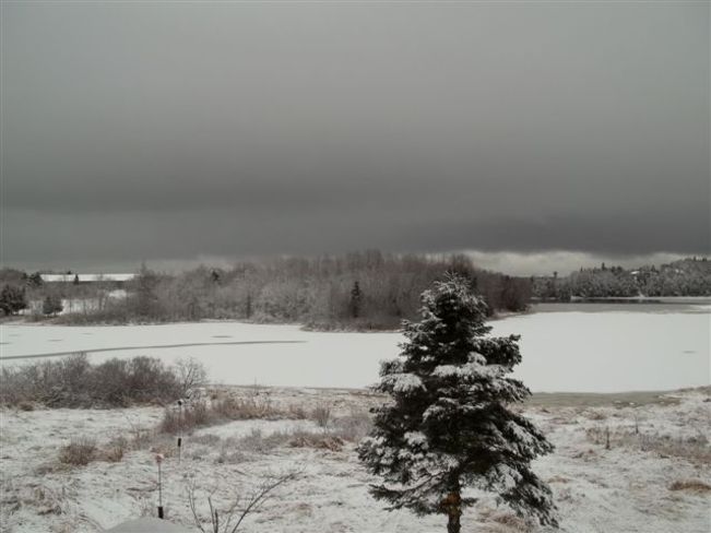 Snowy December 1st Day Saint John, New Brunswick Canada