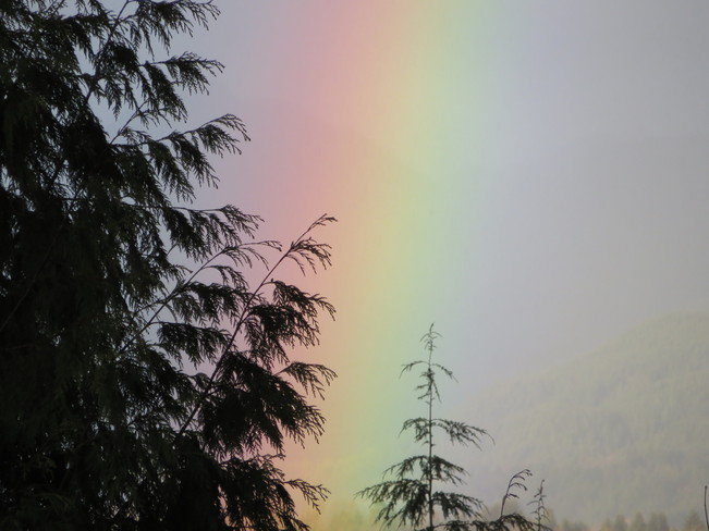 Rainbow today Surrey, British Columbia Canada