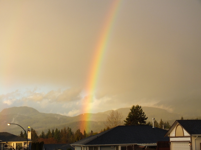 Rainbow Maple Ridge, British Columbia Canada