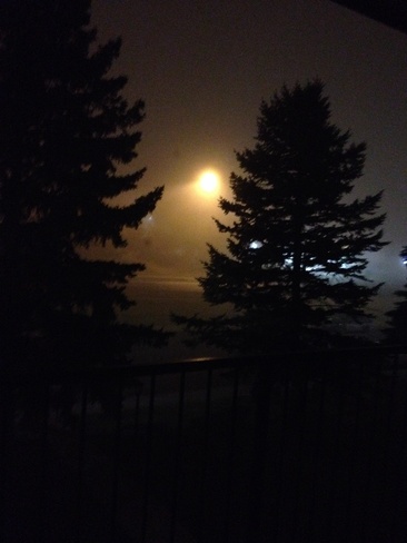 foggy out side Lethbridge, Alberta Canada