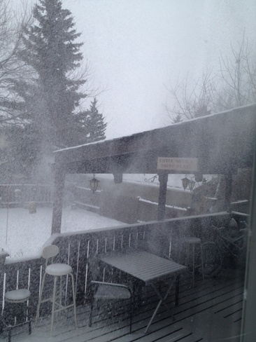 Brrr!! Blizzard!!! Cochrane, Alberta Canada