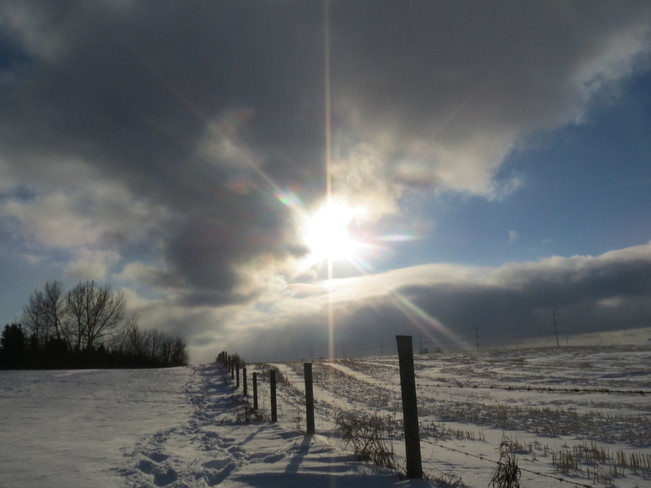 The sun through the sky Sherwood Park, Alberta Canada