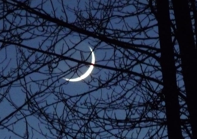 Crescent Moon Coombs, British Columbia Canada