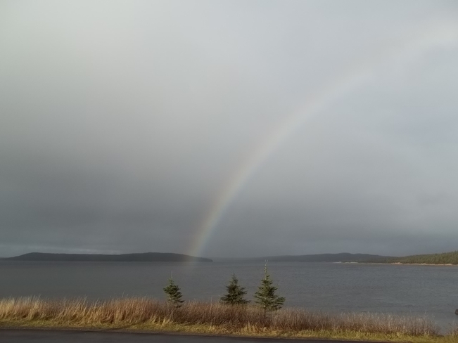 Rainbow Birchy Bay, Newfoundland and Labrador Canada