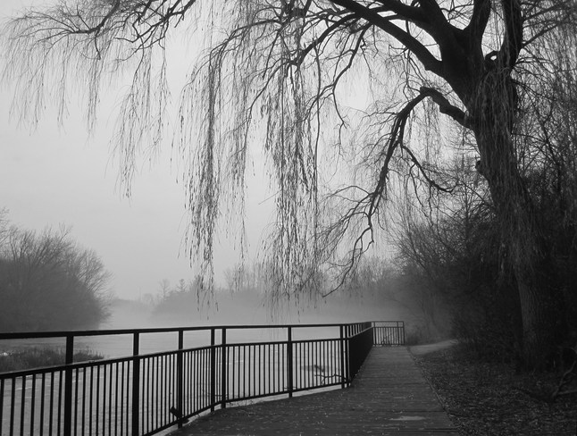 misty morn at the lake Mississauga, Ontario Canada