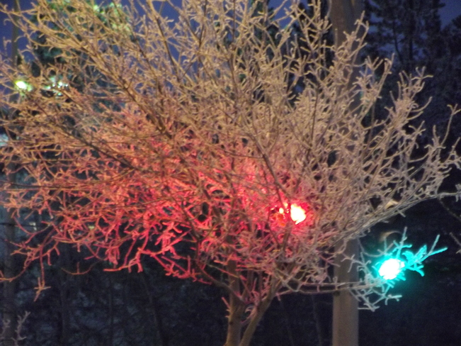 Unintentional Christmas lights Whitehorse, Yukon Canada