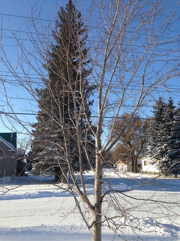 Sunny cold day Treherne, Manitoba Canada