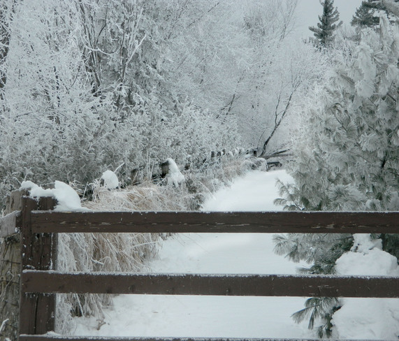 Winter Perfection Rockland, Ontario Canada
