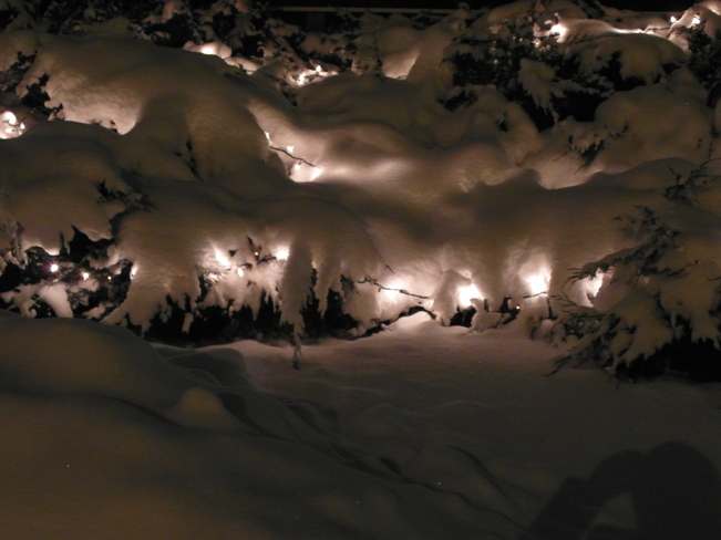 Lights barried in the snow. Calgary, Alberta Canada