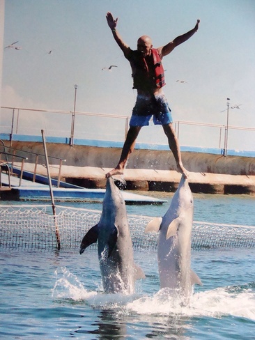 dolphin Santiago de Cuba, Cuba