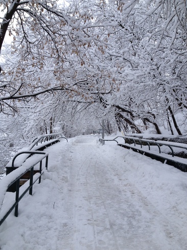 A walk in a winter wonderland Peterborough, Ontario Canada