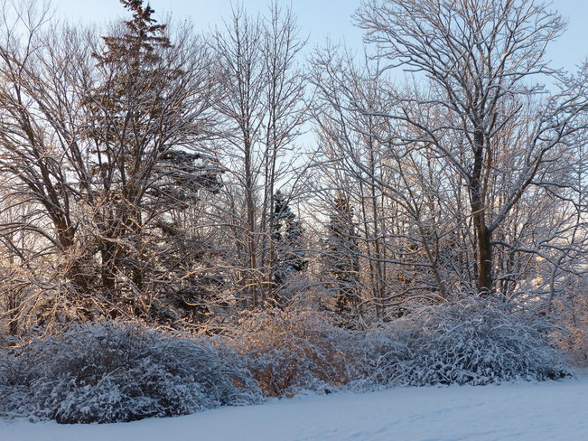 Sunny, snowy morning Shelburne, Nova Scotia Canada
