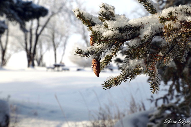 Frosty Cones Oakbank, Manitoba Canada