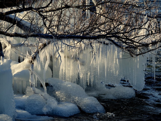 River Icicles Hastings, Ontario Canada