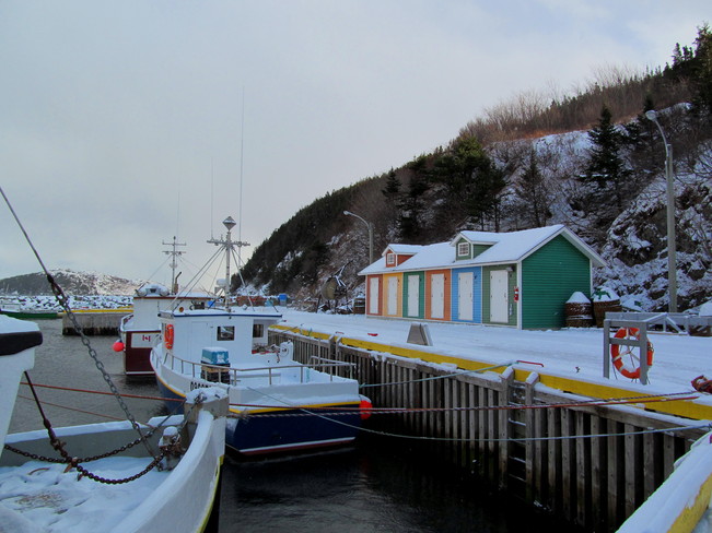 Elaine Strong Ship Cove, Newfoundland and Labrador Canada