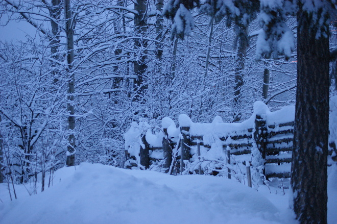 snow days Quesnel, British Columbia Canada