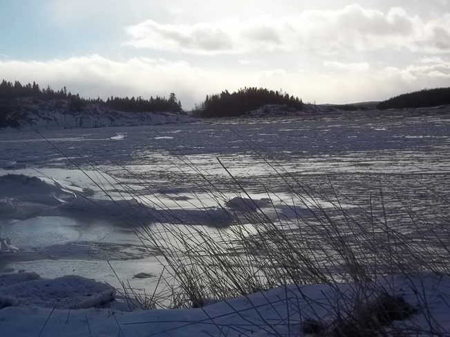 Freezing Cold Birchy Bay, Newfoundland and Labrador Canada