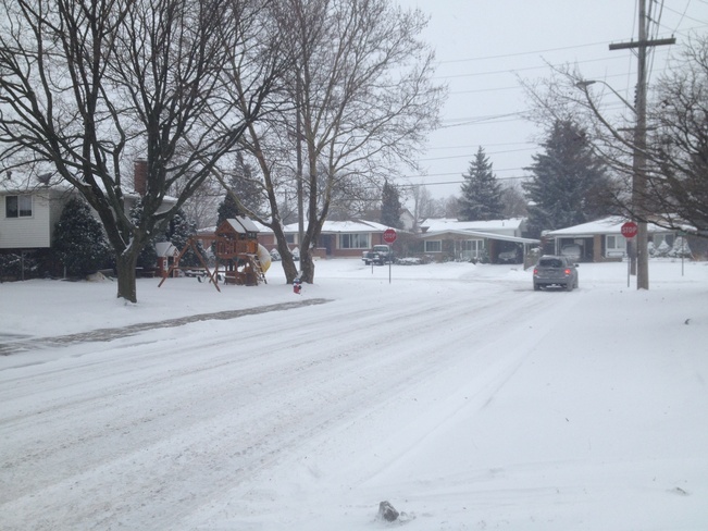 Snowfall Hamilton, Ontario Canada