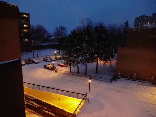 Beautiful winter view from my room Mississauga, Ontario Canada