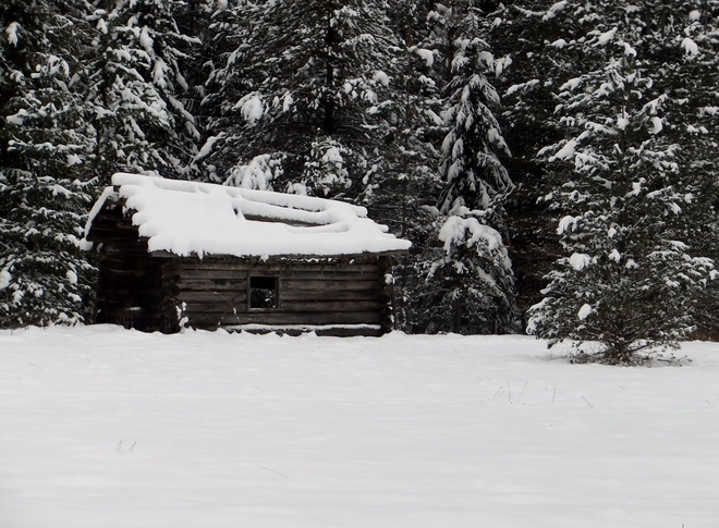 cabin in the snow Fauquier, British Columbia Canada