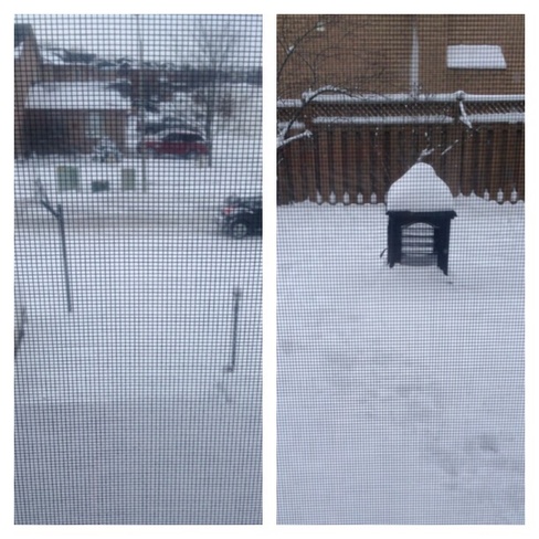 15-20 centimetres of snow Georgetown, Ontario Canada