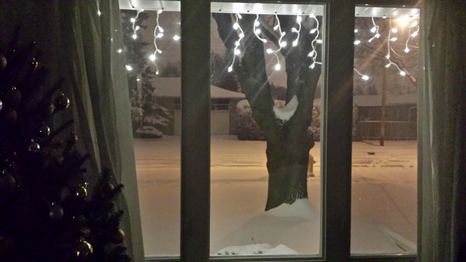 Its Beginning to look a lot like Christmas! Etobicoke, Ontario Canada