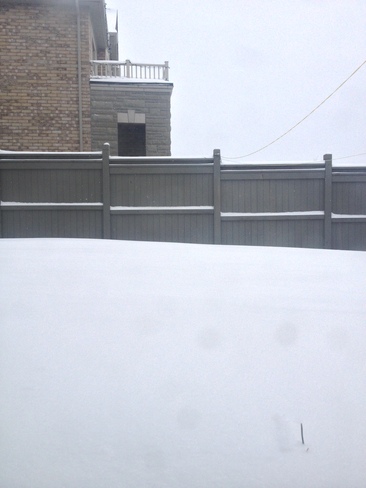My Snowy Backyard Brampton, Ontario Canada