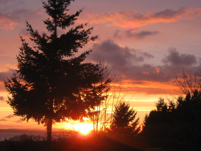 setting sun Surrey, British Columbia Canada