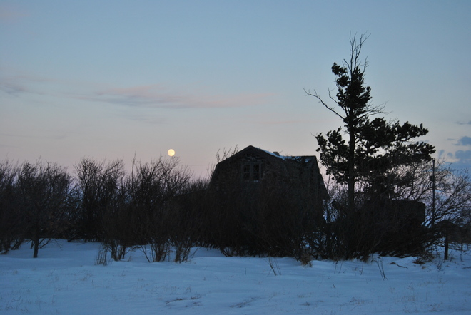 moon over abandoned farm house Reward, Saskatchewan Canada