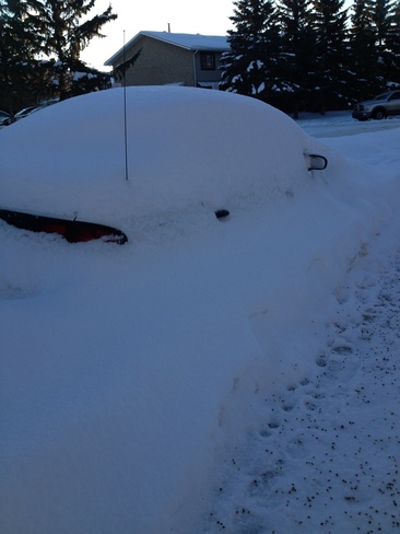 car not in service today Callingwood, Alberta Canada