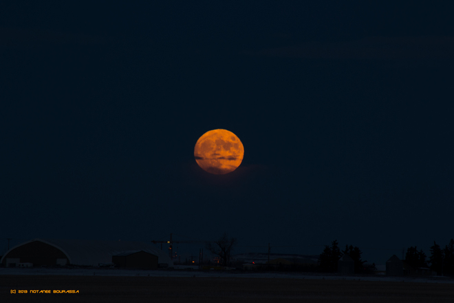 Full Cold Moon - 16DEC2013 Regina, Saskatchewan Canada