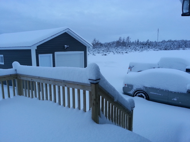 Lots of Fluffy Snow Botwood, Newfoundland and Labrador Canada