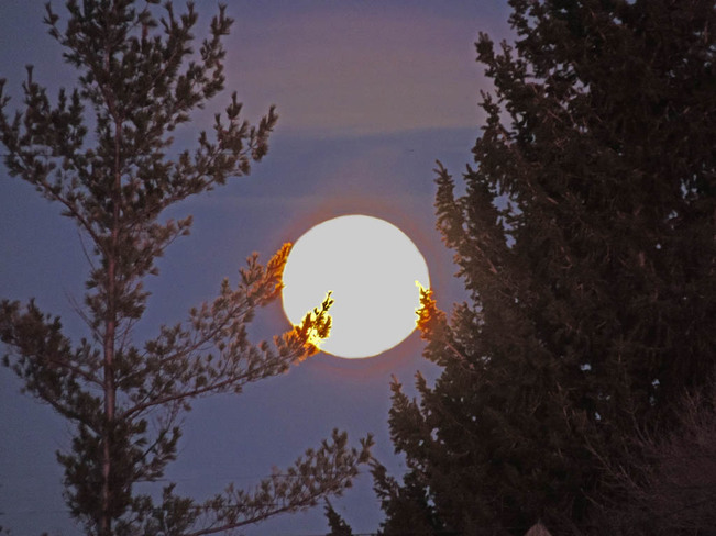 Afternoon Moon Lethbridge, Alberta Canada