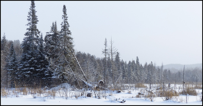 Sheriff Creek, scene after the snow. Elliot Lake, Ontario Canada