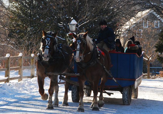 wagon ride Georgetown, Ontario Canada
