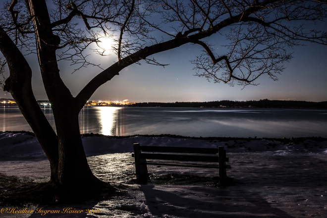 Moonshine in The Park Halifax, Nova Scotia Canada