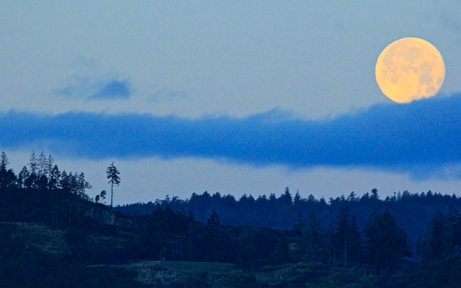 Morning Moon Langford, British Columbia Canada