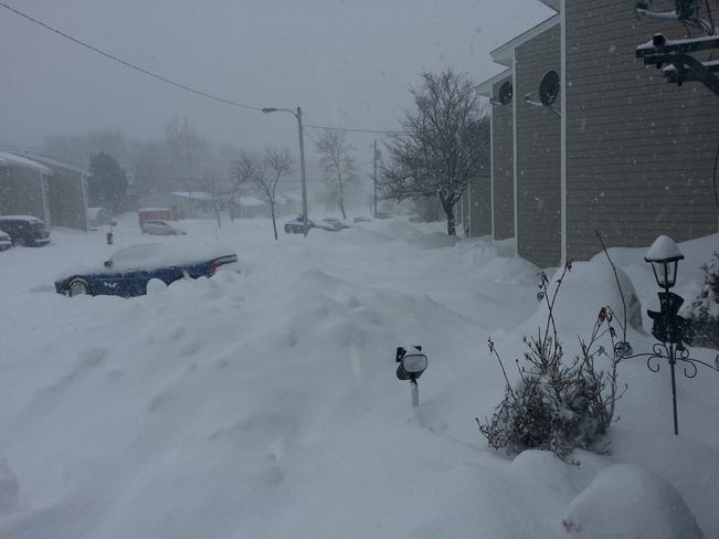 snowy yards Springhill, Nova Scotia Canada