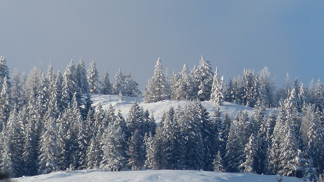 Wintery Grand Forks, British Columbia Canada
