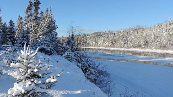 Indian River near Springdale, NL Springdale, Newfoundland and Labrador Canada