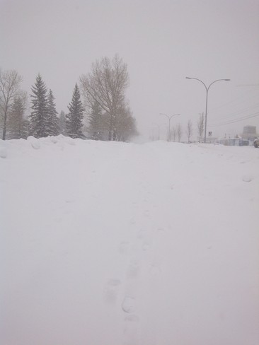 To much Snow Calgary, Alberta Canada