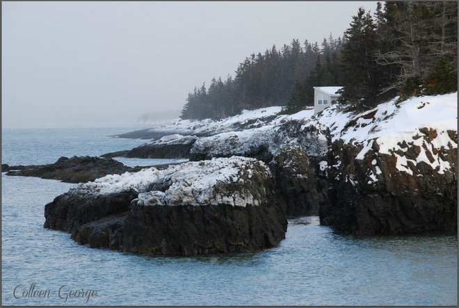 Snowy Shoreline Centreville, Nova Scotia Canada