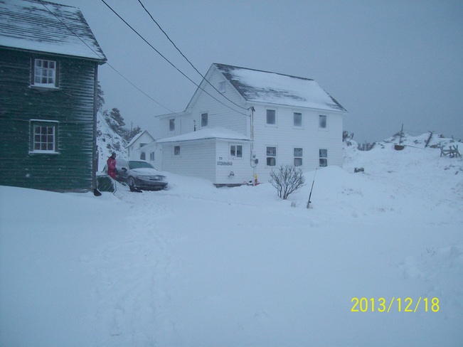 snow storm Twillingate, Newfoundland and Labrador Canada